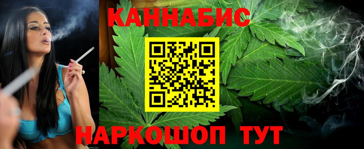 МАРИХУАНА сатива  Конопля сатива  Кызыл  Бошки марихуана Ganja  Каннабис White Widow  Вход с VPN 